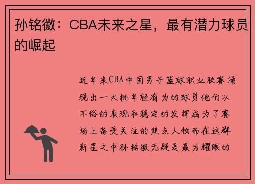 孙铭徽：CBA未来之星，最有潜力球员的崛起